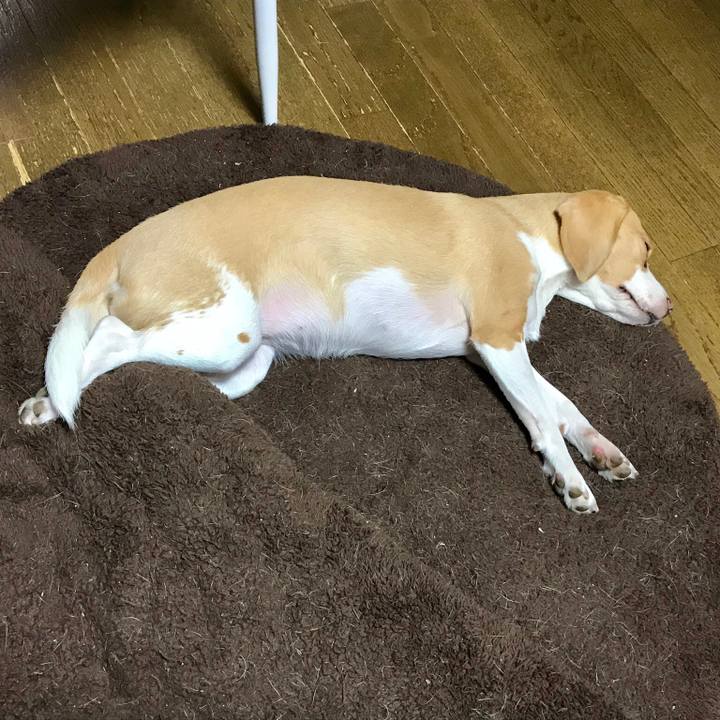 42343205 6af9 4be6 9521 7ddfe78bf516 1541941345482