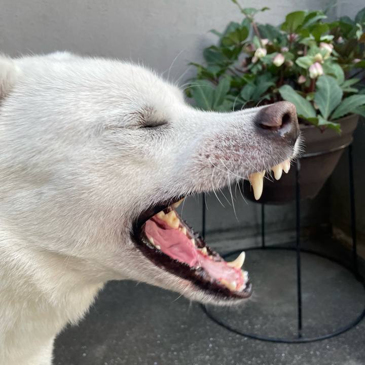 4234385f 47ee 4413 a2a1 a4da02b8f068 1738321110355