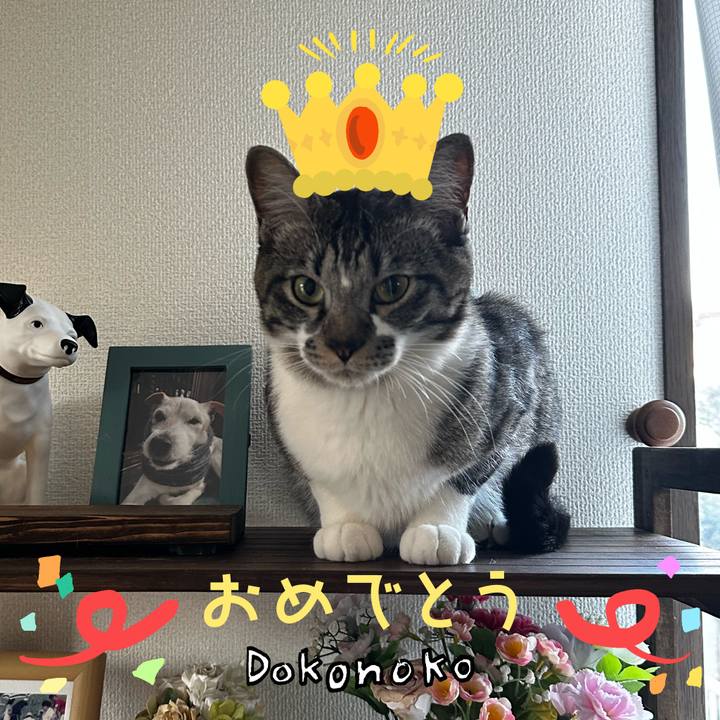 42344dab b472 423b a440 2b4a523813c1 1686014881394