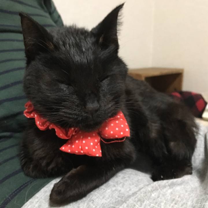 42345baf c010 4cd1 8039 282139f2a721 1589718067649