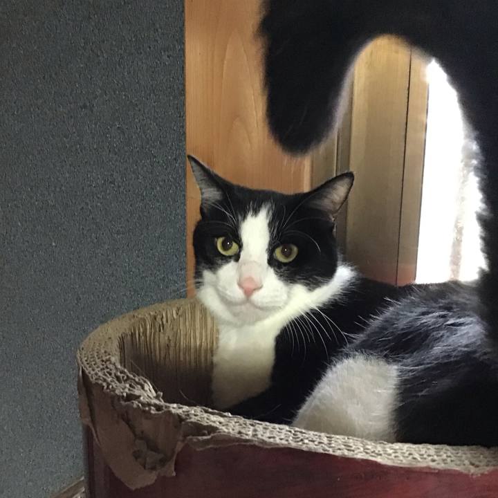 423508f3 bac9 4592 b4d3 bc0a1be132d4 1760412853153