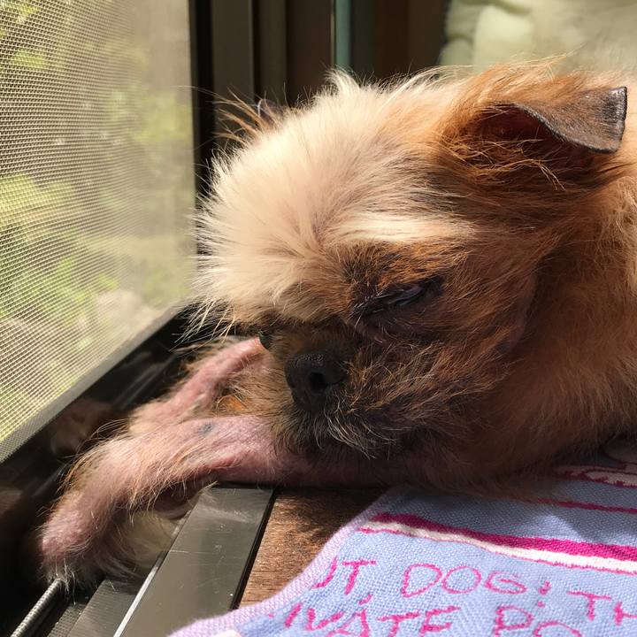 42352d56 20f7 4ce8 810a 4e13de9aab4d 1528420763512