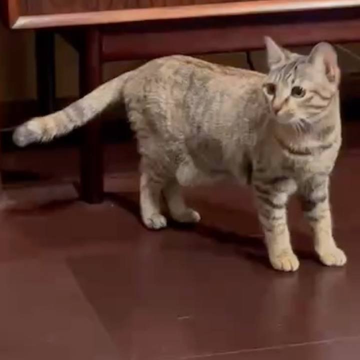 4235756a 3ccc 456b 8f61 7abd20477a5f 1764277055309