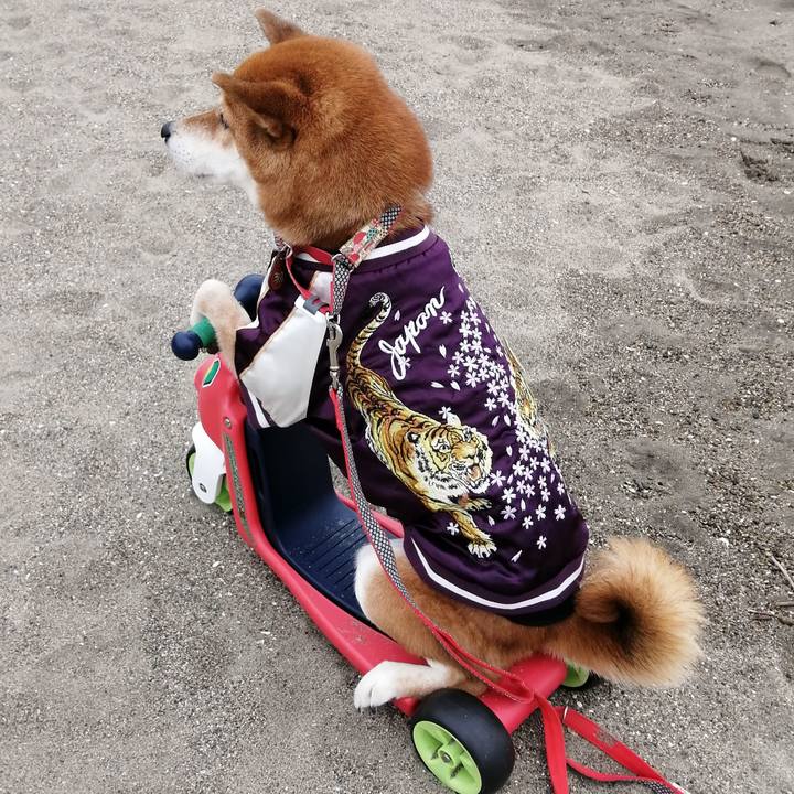 42358c4c ca28 4c55 8fcf f368c38184fc 1638790887666