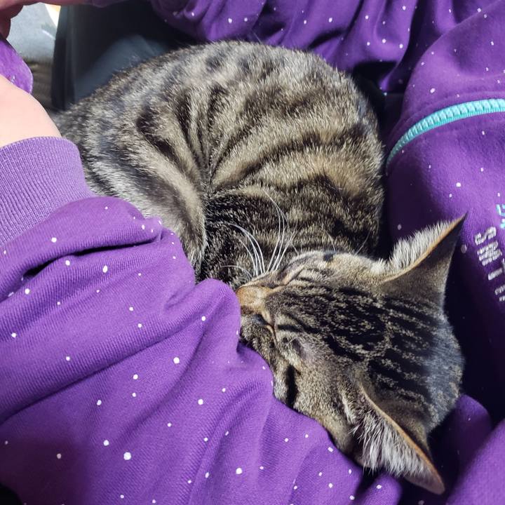 4235a135 eceb 4749 a1b7 f57aa08cd041 1544869615880