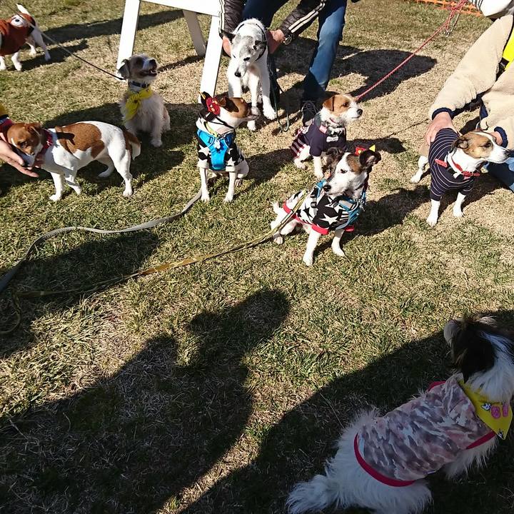 4236240f 58b5 44fa b346 3cd5fceb977e 1549093591231