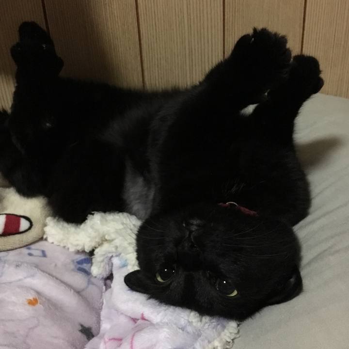 42362855 e424 416c 9126 01ad5b0789fb 1508069960619