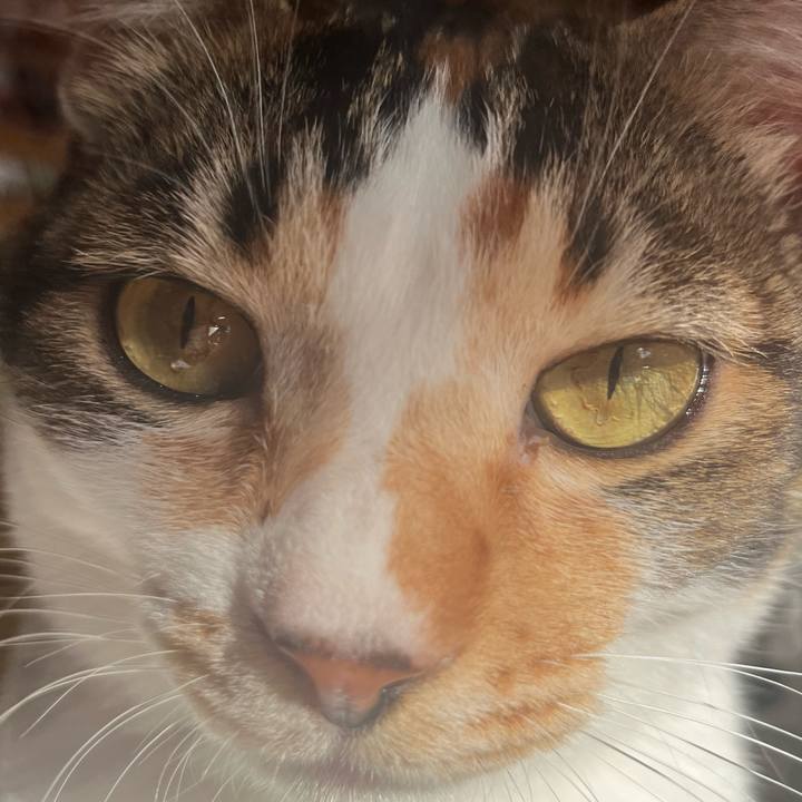 423628a2 0f92 412d a8a6 62a972d8e9a2 1733531117140