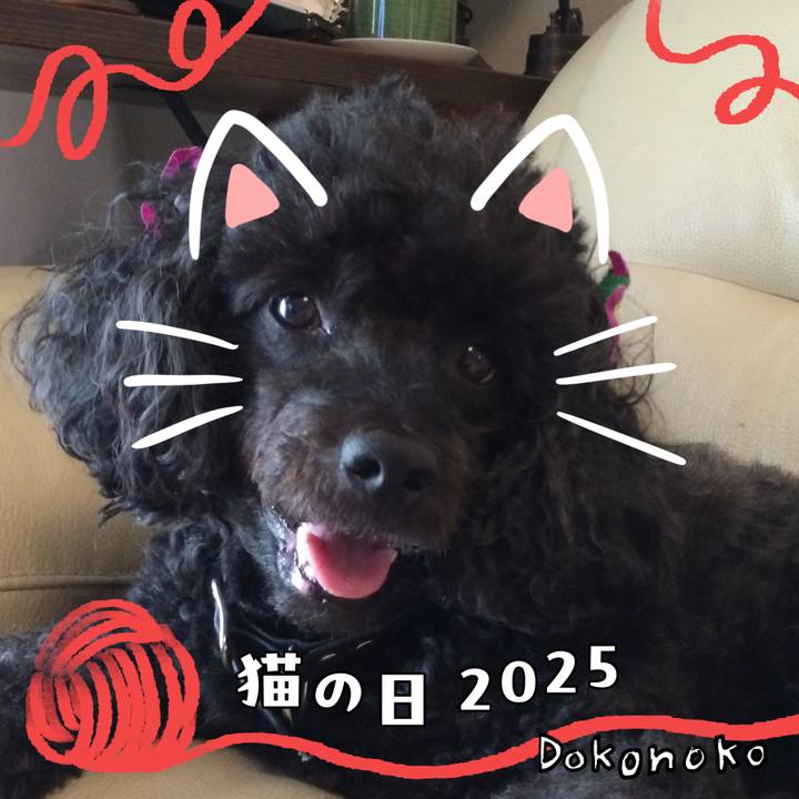 42368d87 aaf4 48e6 bd70 b5d6fbd6863f 1740177160787