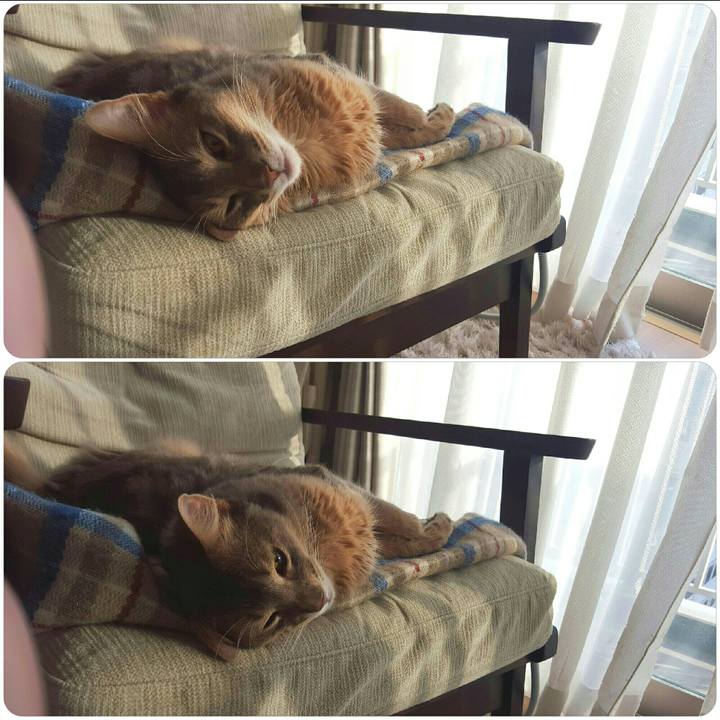 4236a3c8 ee4c 458a 8c70 ce8ec3c90fbd 1518441434291