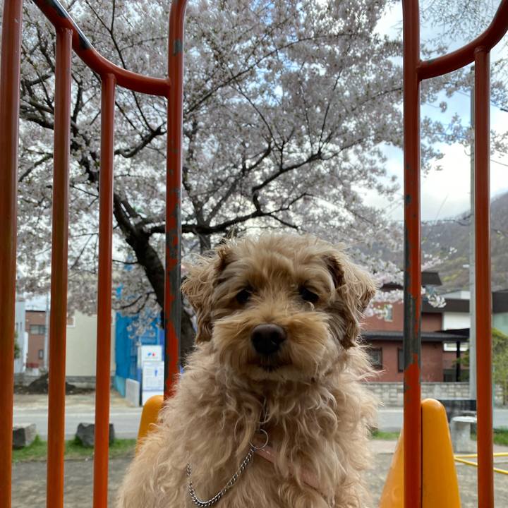 4236a765 c77d 47c8 9328 8d7afd0baef7 1651011454661