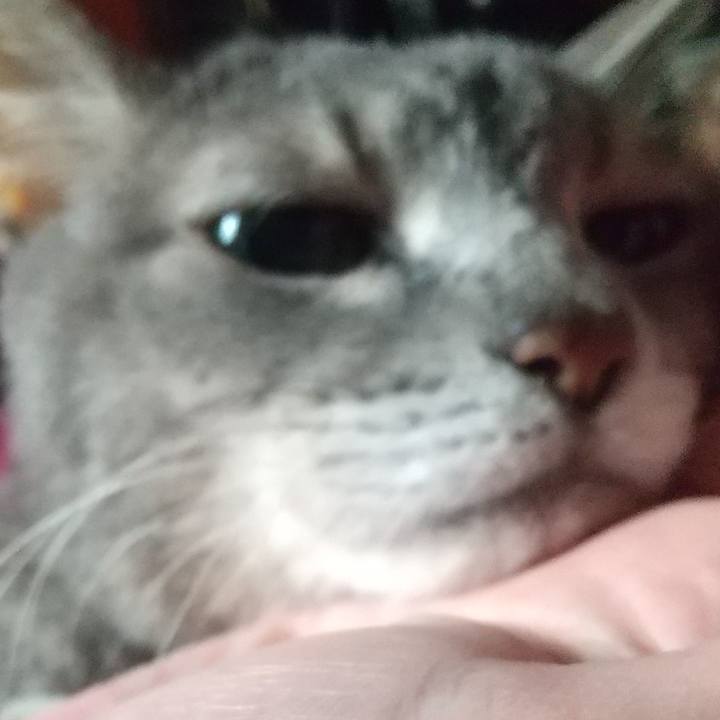 4236bb1d 41a4 4096 98e0 c0d312b864dd 1699692106216