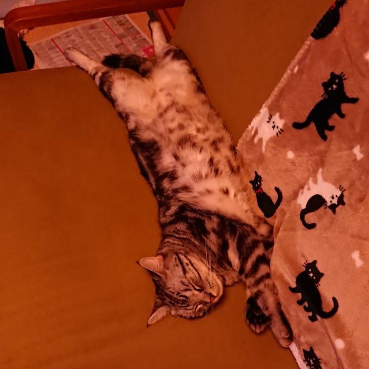 4236bff8 1ea5 412d b7c6 54c81e2c3ea5 1526697617684