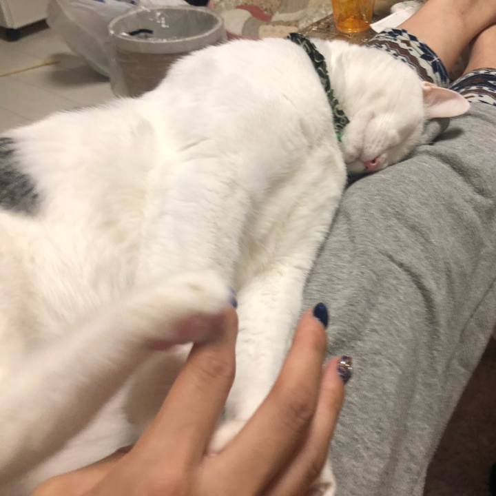 4236d025 3eab 4ec7 9974 155e46b0568f 1572963123518