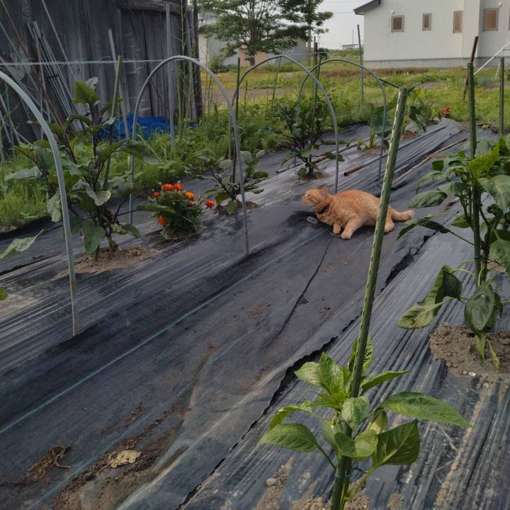 4236ec71 929e 4c6d 8b7a 70853342683a 1687818408723