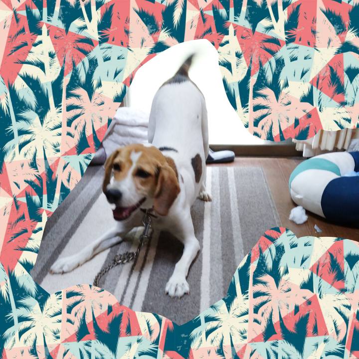 42373dd7 d071 48c9 839b 9224660f945a 1599965202555