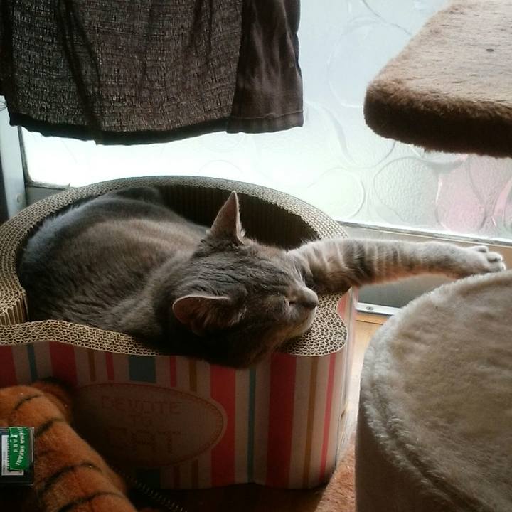 42375081 69a1 4d5e 8034 bc04980b5b6d 1526097730338