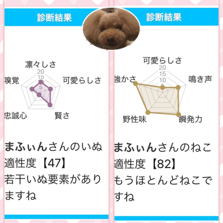 423778a2 2270 43cc b7a7 f9816144f5aa 1538559627393