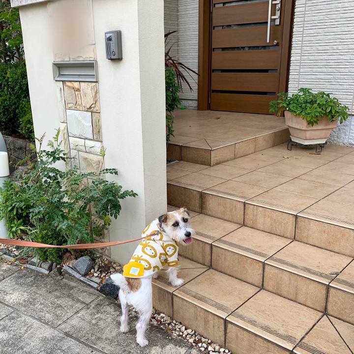 42378a87 df69 4baa ae9d d53def8750a7 1668320608519