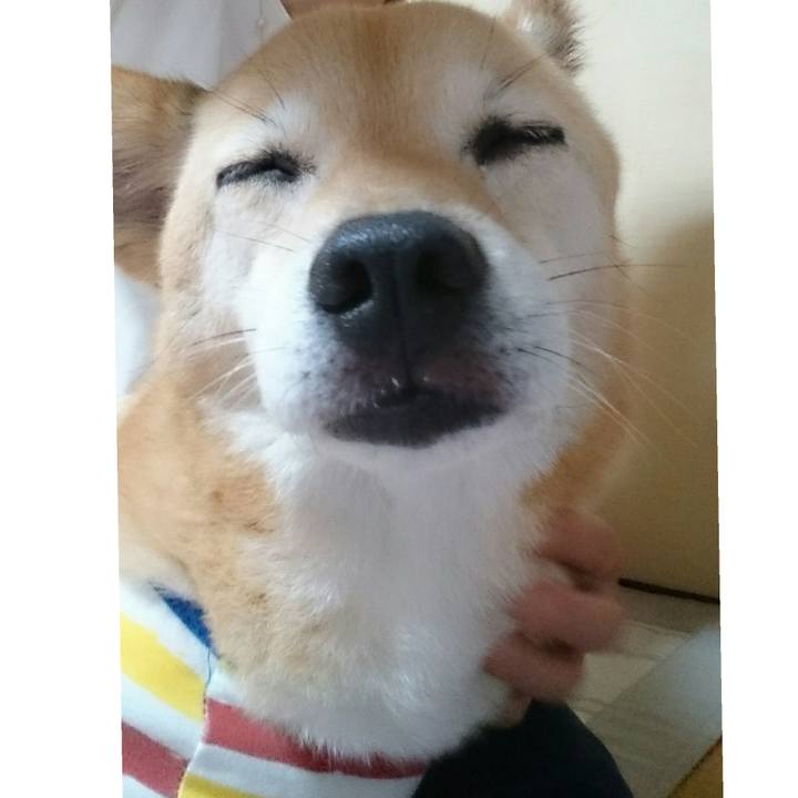 42378fcd 8b82 4385 863d 1fc90716ab13 1523484299803