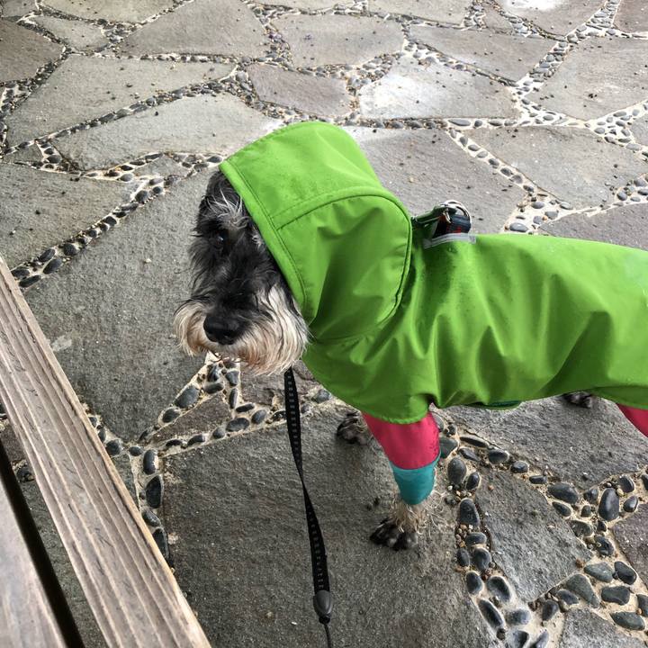 4237a5da 7b8b 4493 8d86 a21928c80dda 1651363257164