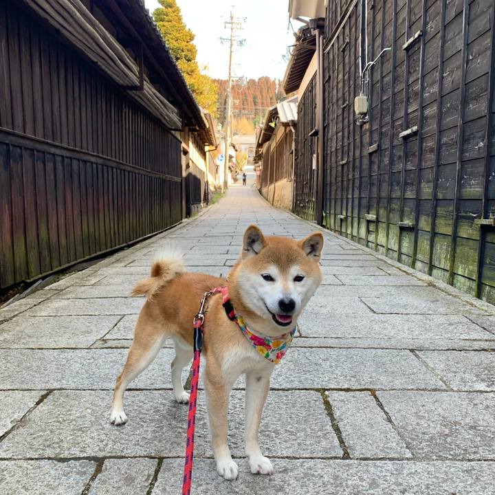 42380ead 1e7d 42e9 91e6 9ed02ba4f1e3 1615115350983