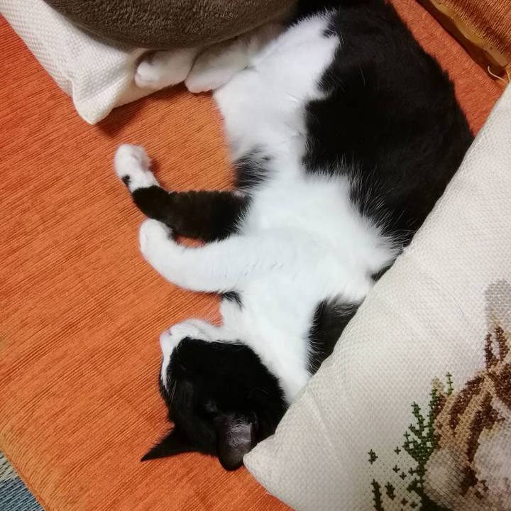 42382b58 28d4 4376 a247 9bd067799a92 1593785670535