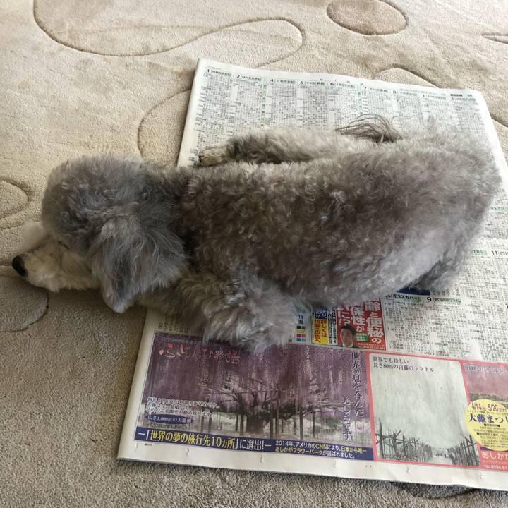 4238350b 517e 46fe 8544 301aa9a08001 1524477868201