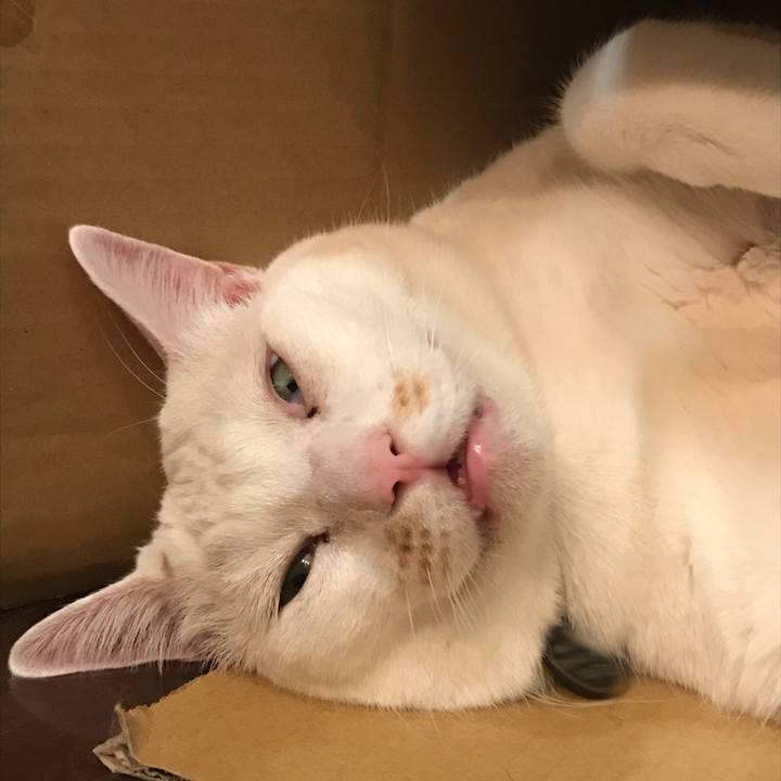 423871d9 89c5 41da 9425 8907f781b4c4 1521369689060