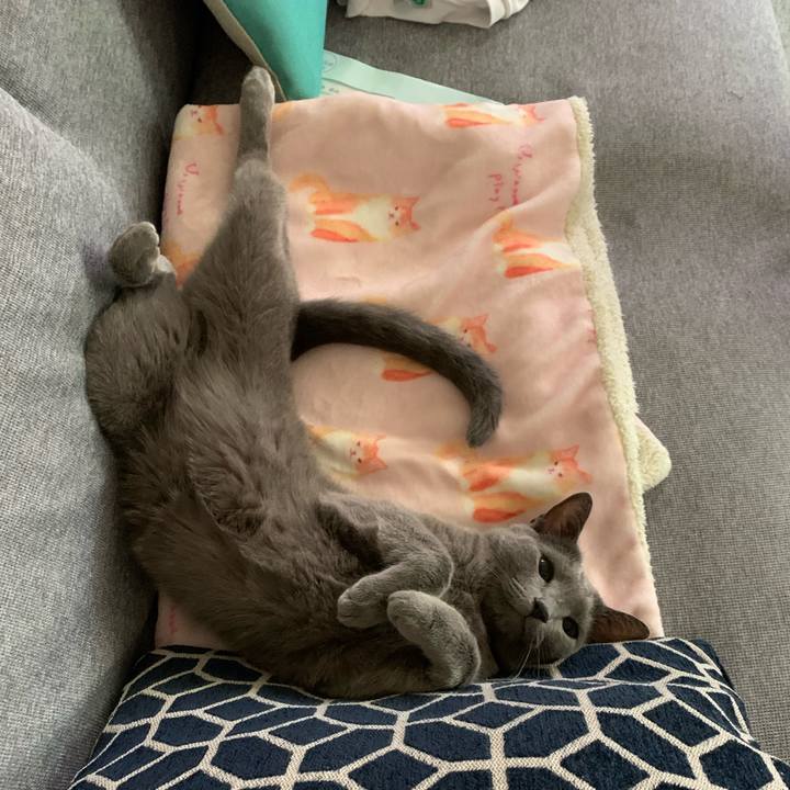 423891bf eff7 4777 96e4 b1c1b0a119b9 1663759172693