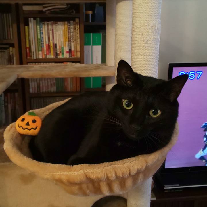 4238a9cf 4e58 4186 ab4c 48bf2fdfd3ae 1635033596099