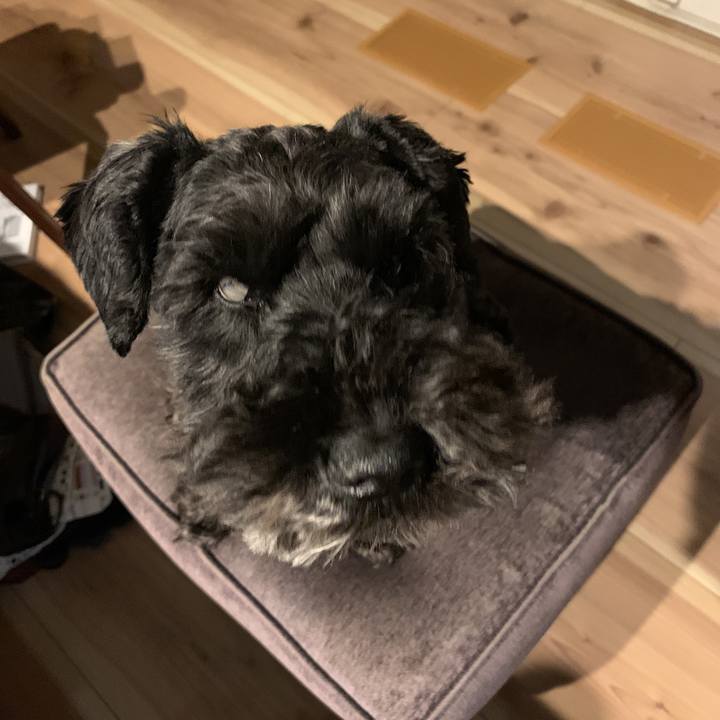 4238c62e 01b6 4a8b 84ab 1eadadf34fe3 1587212054462