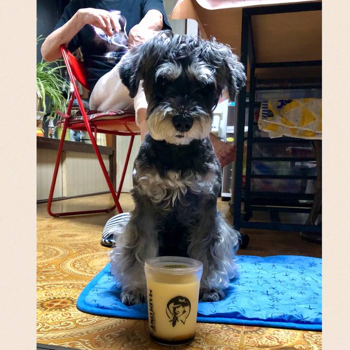 4238d263 1de7 4672 ba53 0f16f30a2499 1658667597046