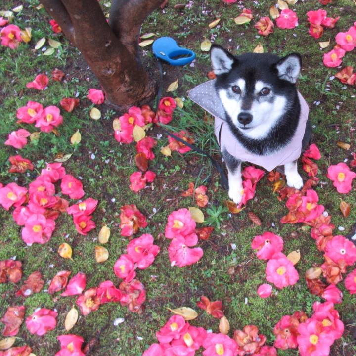 42390b8d a03b 4faf 832a 07659eb77c2b 1617917569695