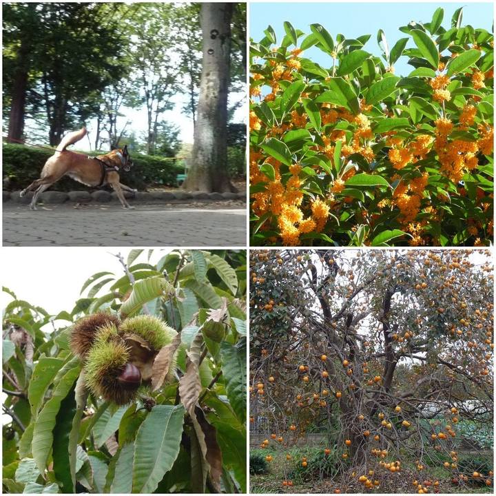 42393ba3 e062 496d ba64 2d56ca11ffda 1578358070824