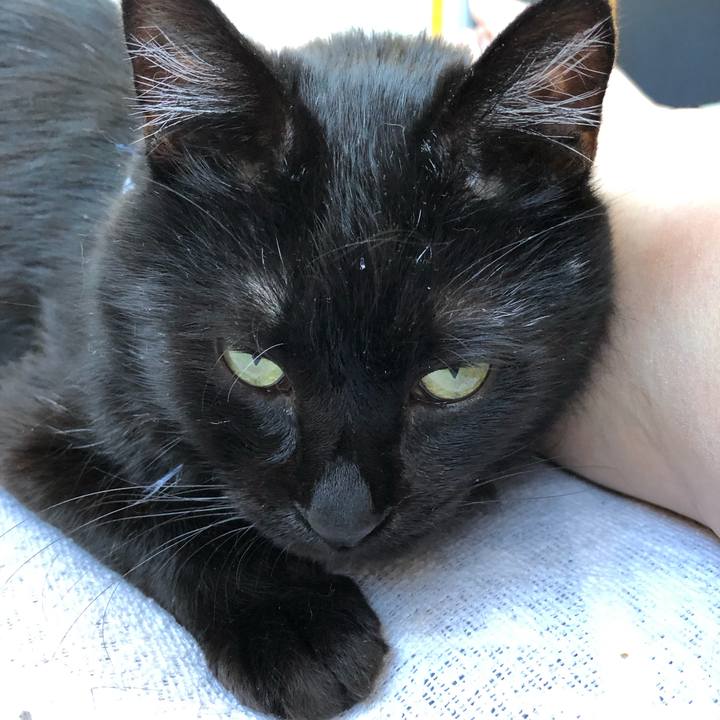 4239423f 1d87 4a4b b5ae 2277ed92a629 1555741974709