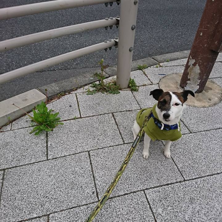 423970d1 4cc1 4e9d bef2 fb3c8ea8895a 1523400332275