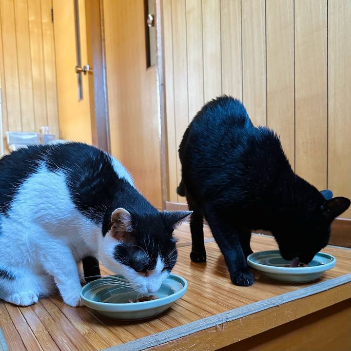 423992c7 125b 4186 963d 5618ccb60b0c 1692835383012