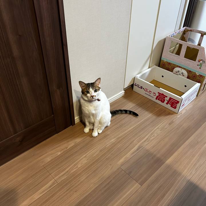 4239b58b b5ce 4f5e ab16 00e029261ef9 1756593663994