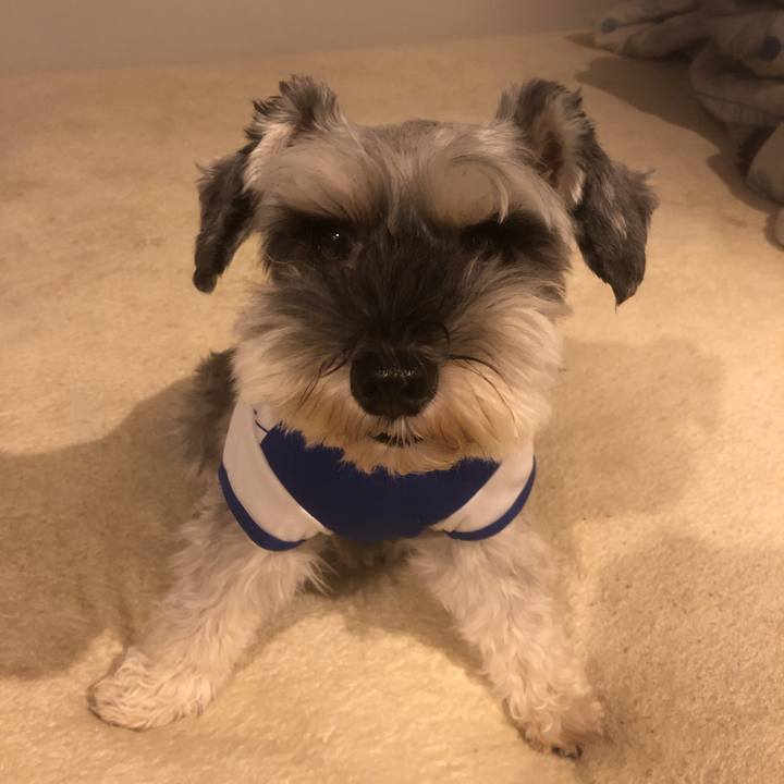 4239c627 a06d 460c 8dba d06eb19dee9a 1570352060641