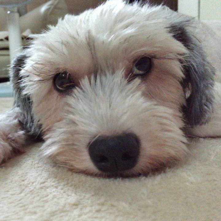 423a0c95 fb4d 4d86 9ba3 e4302688c558 1535866400192