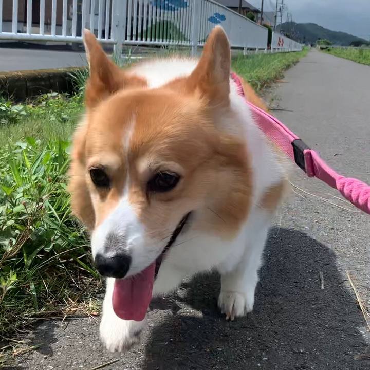 423a2ab8 8c71 4341 be36 046dbef60cc3 1658020639455