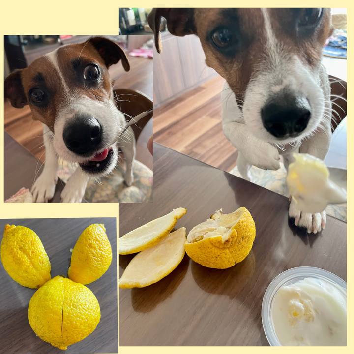 423a2af2 f2fc 41bd 93c2 38c369a45f94 1648169967331