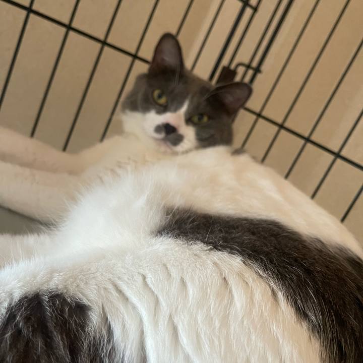 423a2ca3 c9cd 4826 bfac bffc700d2757 1692662314245