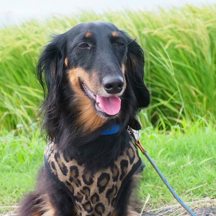 423a607b 25ca 4efe 96da 58513c6551b2 1536815174833