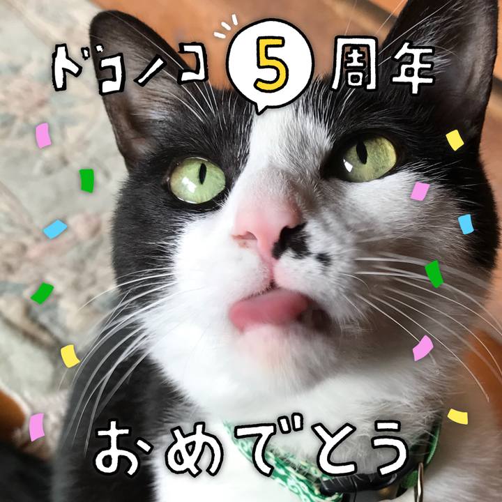 423a6ac4 f7fc 4c5a 8bde 034afbcbb9a7 1622871946352