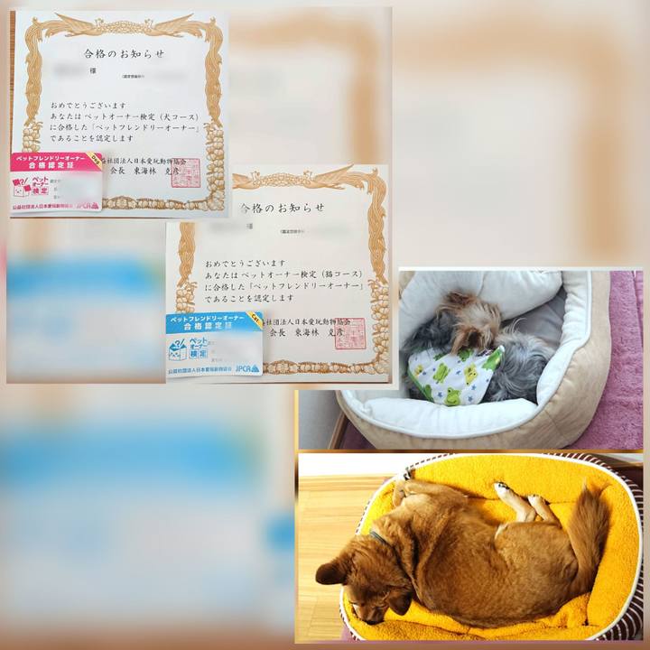 423ab557 71cc 42b5 82d6 fd6f9a99f13a 1616724256616