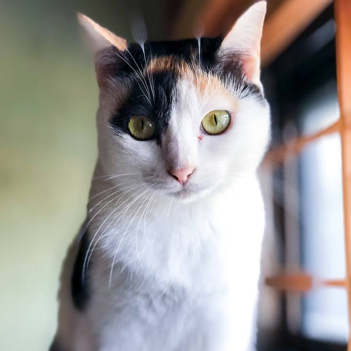 423aca64 f46b 4f7b 8642 d86a69b43669 1509169775705