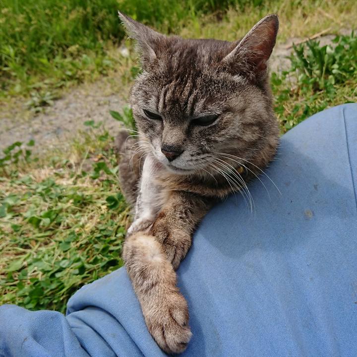 423adc1a 1c0c 4e10 aa04 4043a86688a6 1589596717687