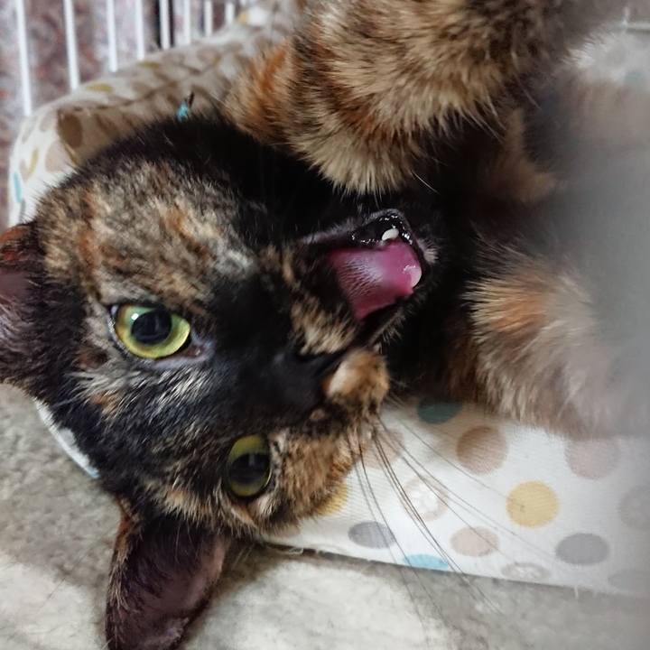 423ae81c ace0 43a3 909e 7c7f40803e56 1565532940421